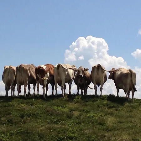 Haus Maran Prázdninový dům *