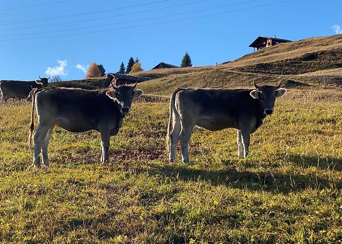Haus Maran Prázdninový dům